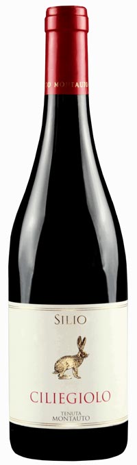 bottiglia vino silio ciliegiolo